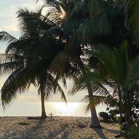 Anda Di Hows Hostel Placencia 外观 照片