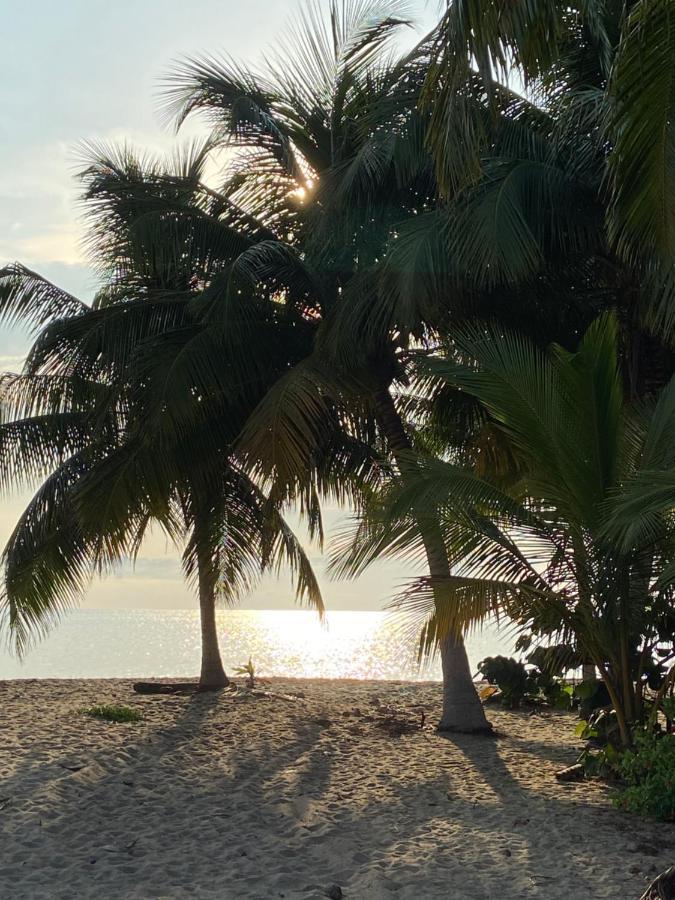 Anda Di Hows Hostel Placencia 外观 照片