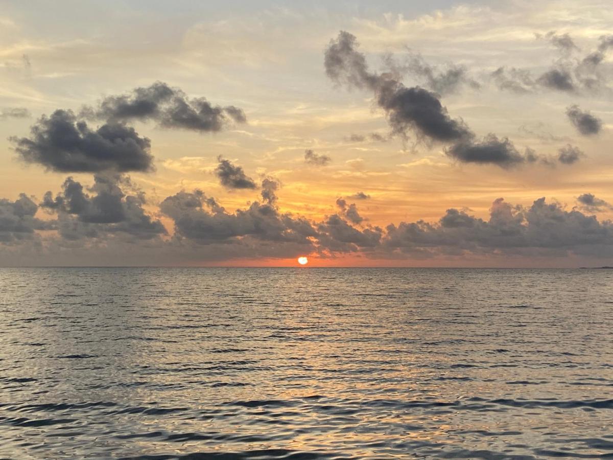 Anda Di Hows Hostel Placencia 外观 照片
