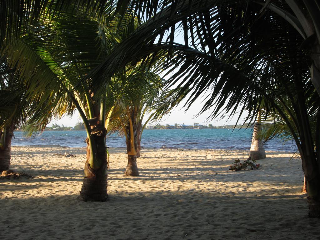 Anda Di Hows Hostel Placencia 外观 照片