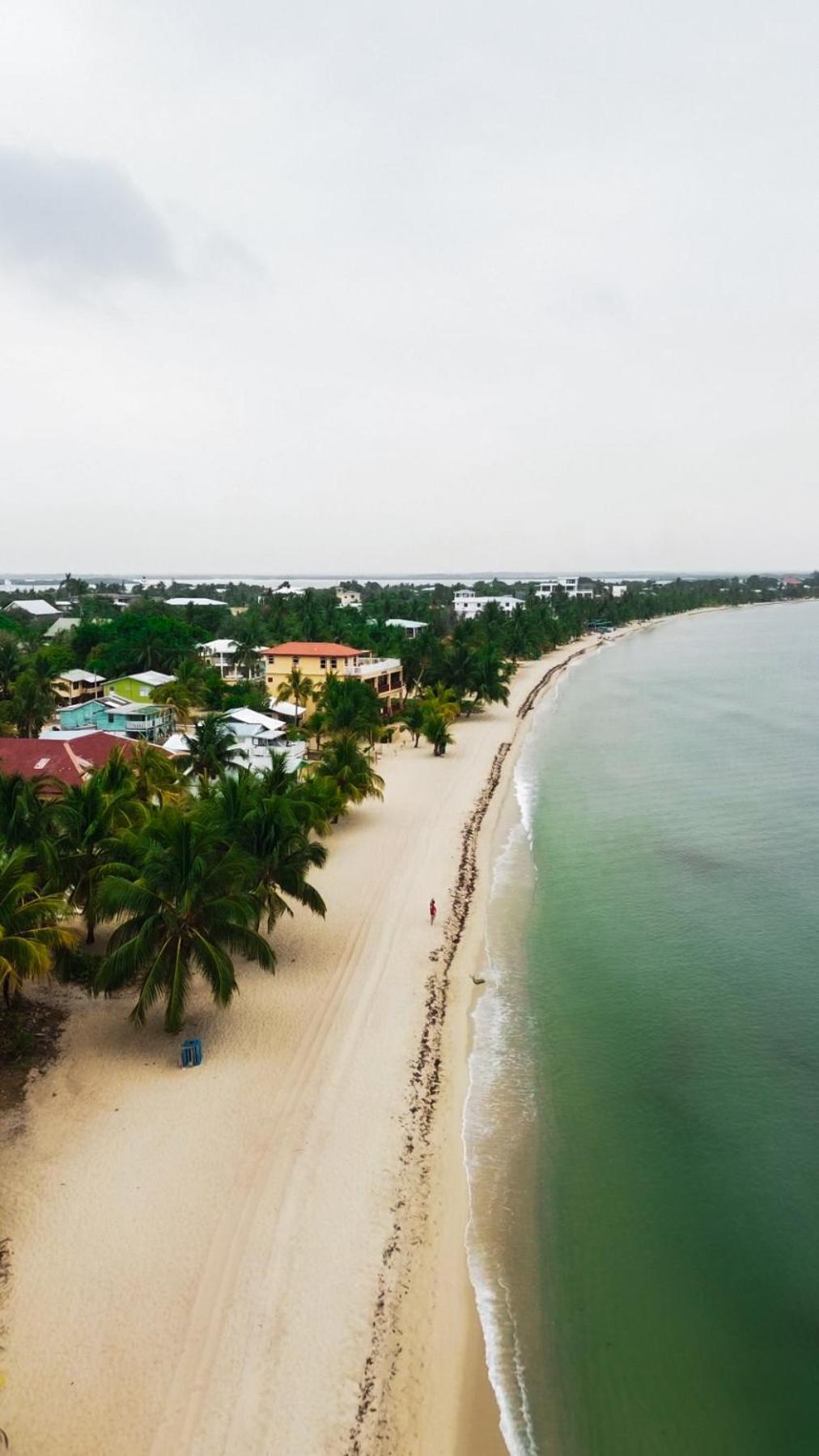 Anda Di Hows Hostel Placencia 外观 照片