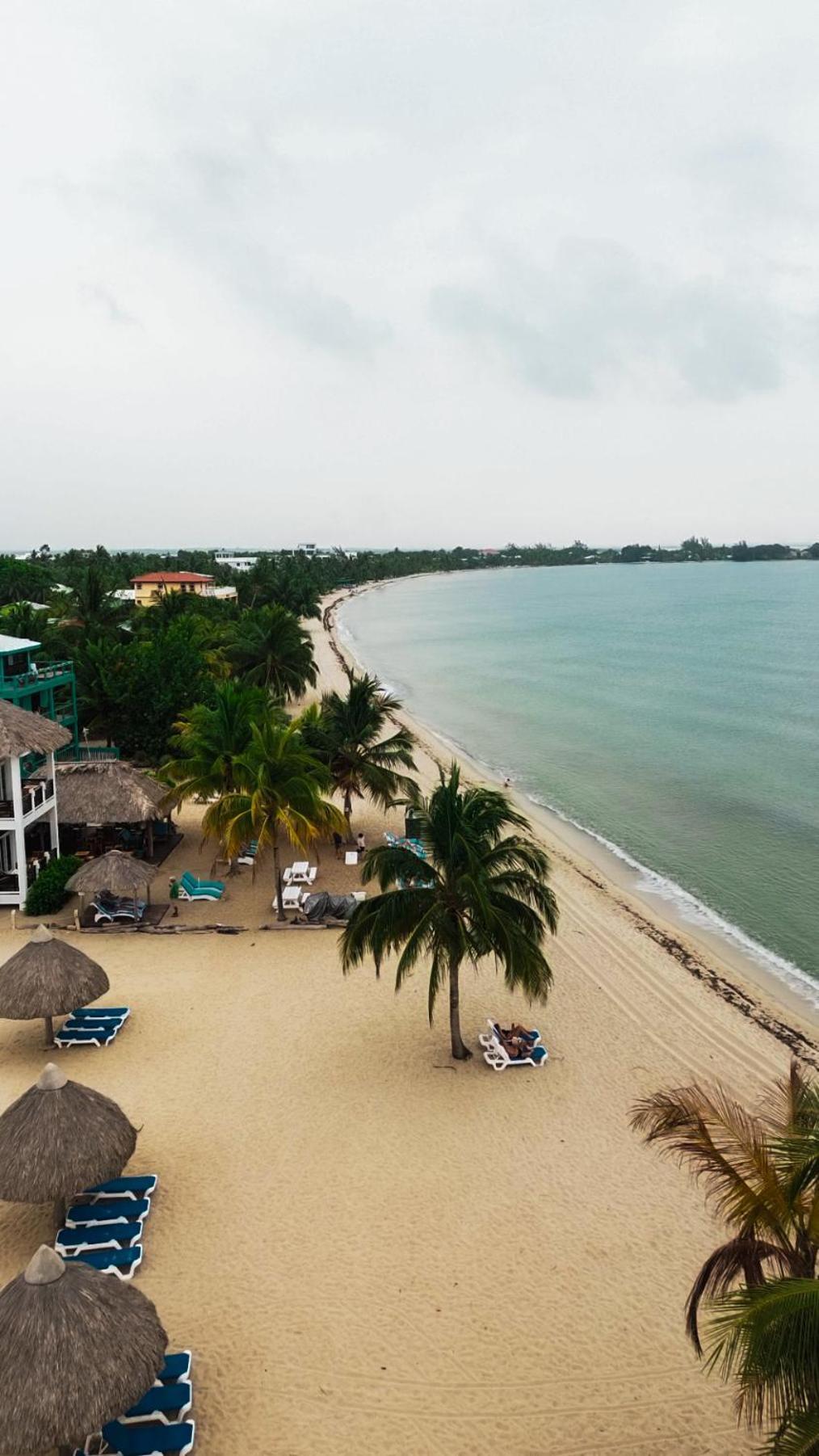 Anda Di Hows Hostel Placencia 外观 照片