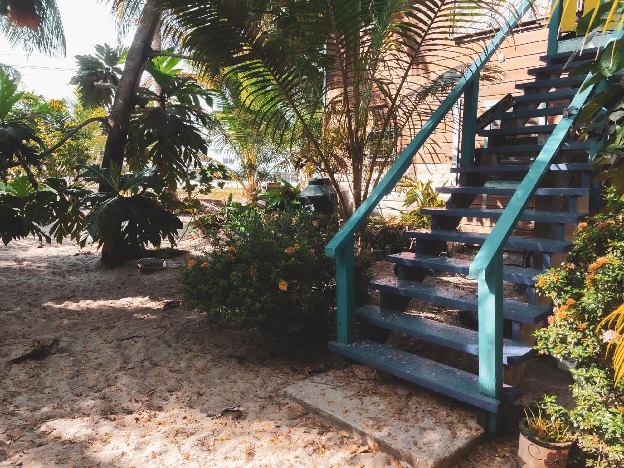 Anda Di Hows Hostel Placencia 外观 照片