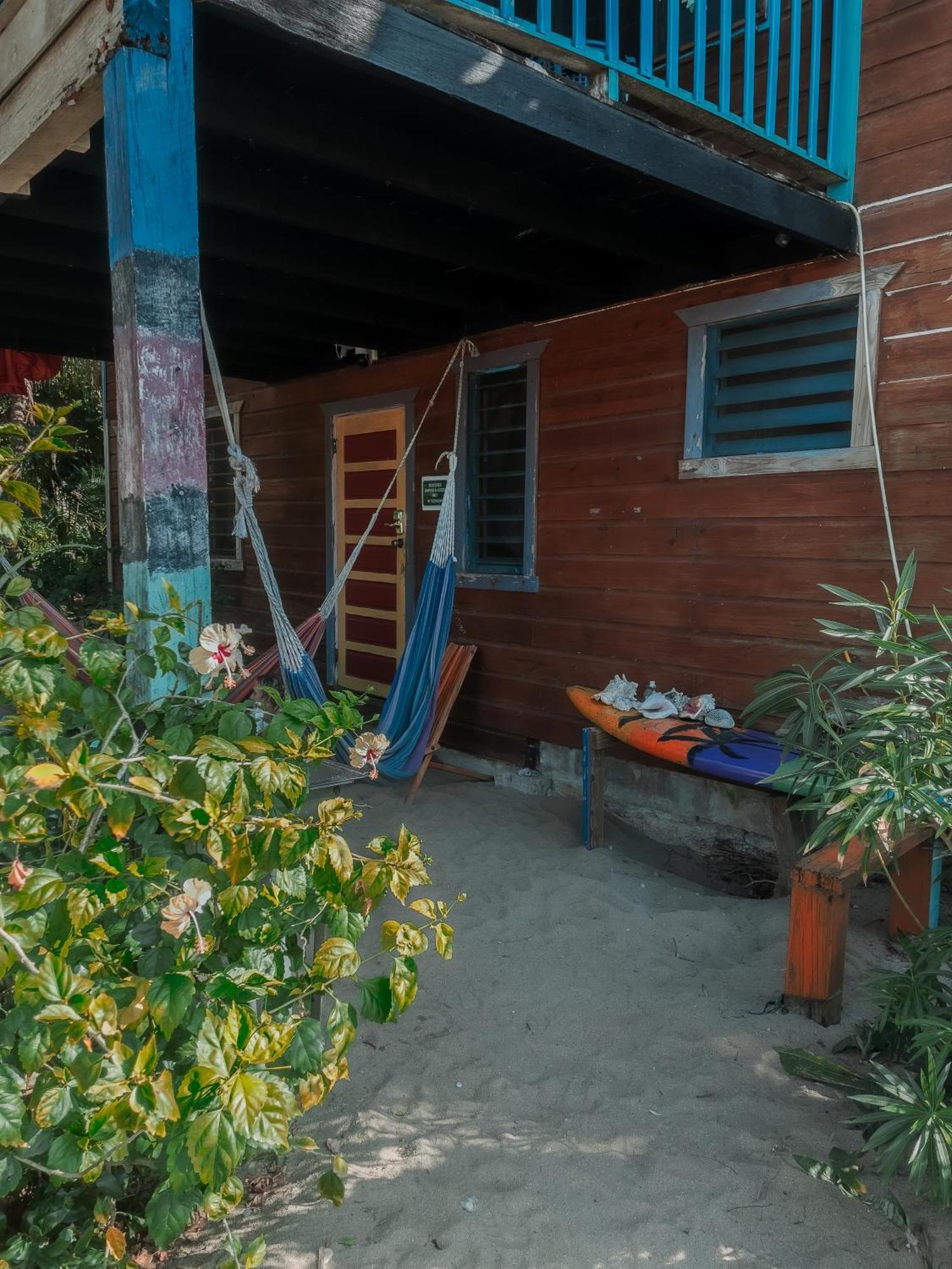 Anda Di Hows Hostel Placencia 外观 照片
