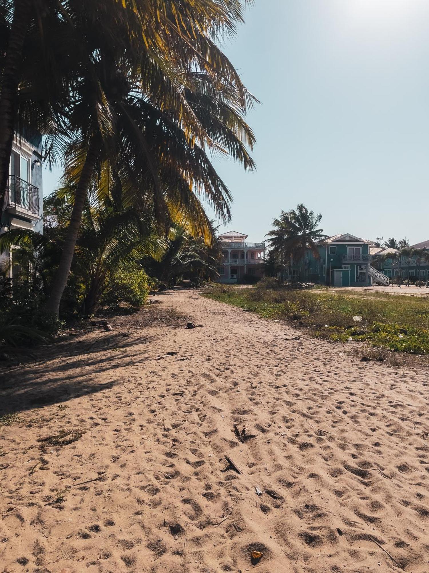 Anda Di Hows Hostel Placencia 外观 照片
