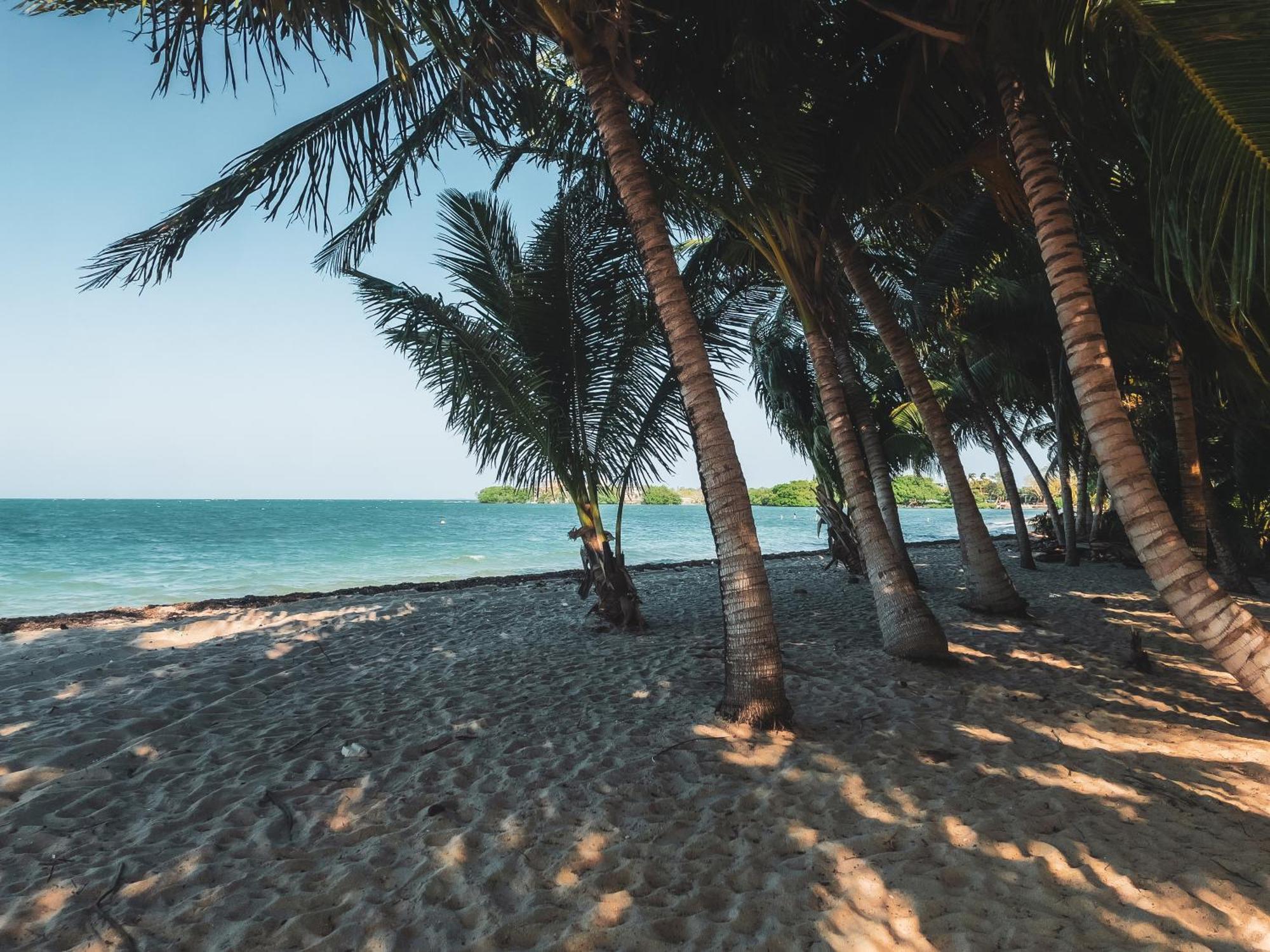 Anda Di Hows Hostel Placencia 外观 照片
