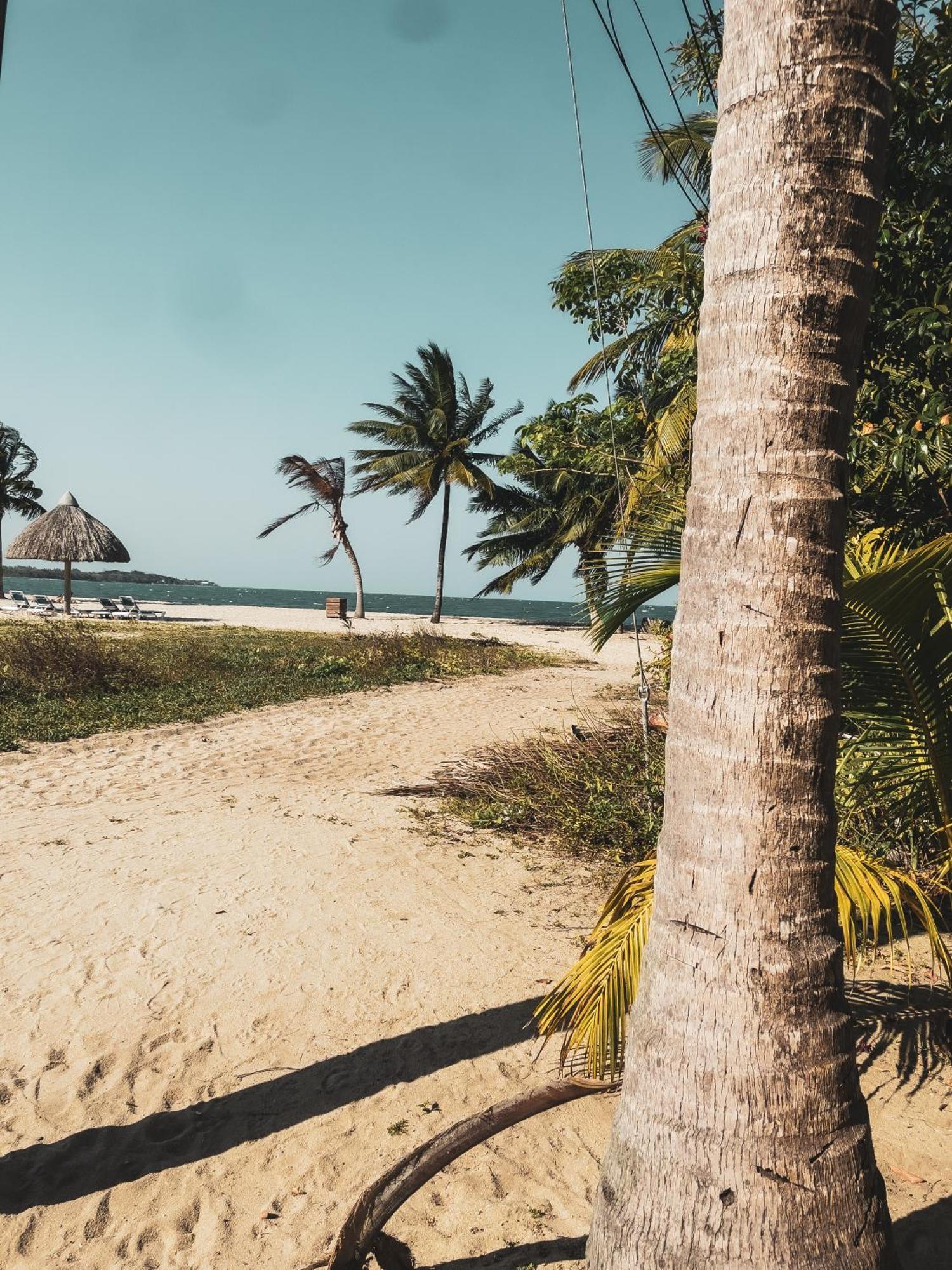 Anda Di Hows Hostel Placencia 外观 照片