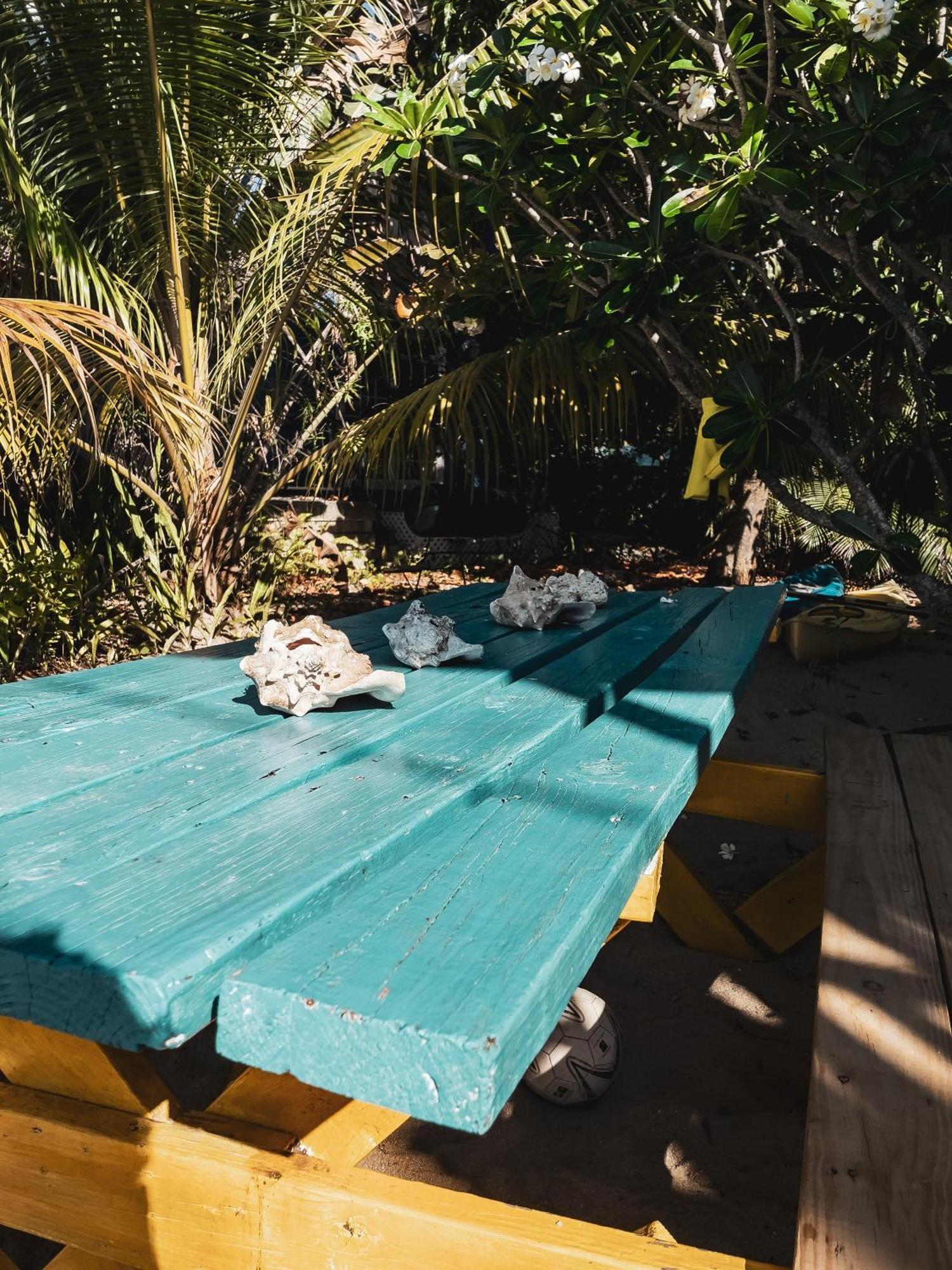 Anda Di Hows Hostel Placencia 外观 照片
