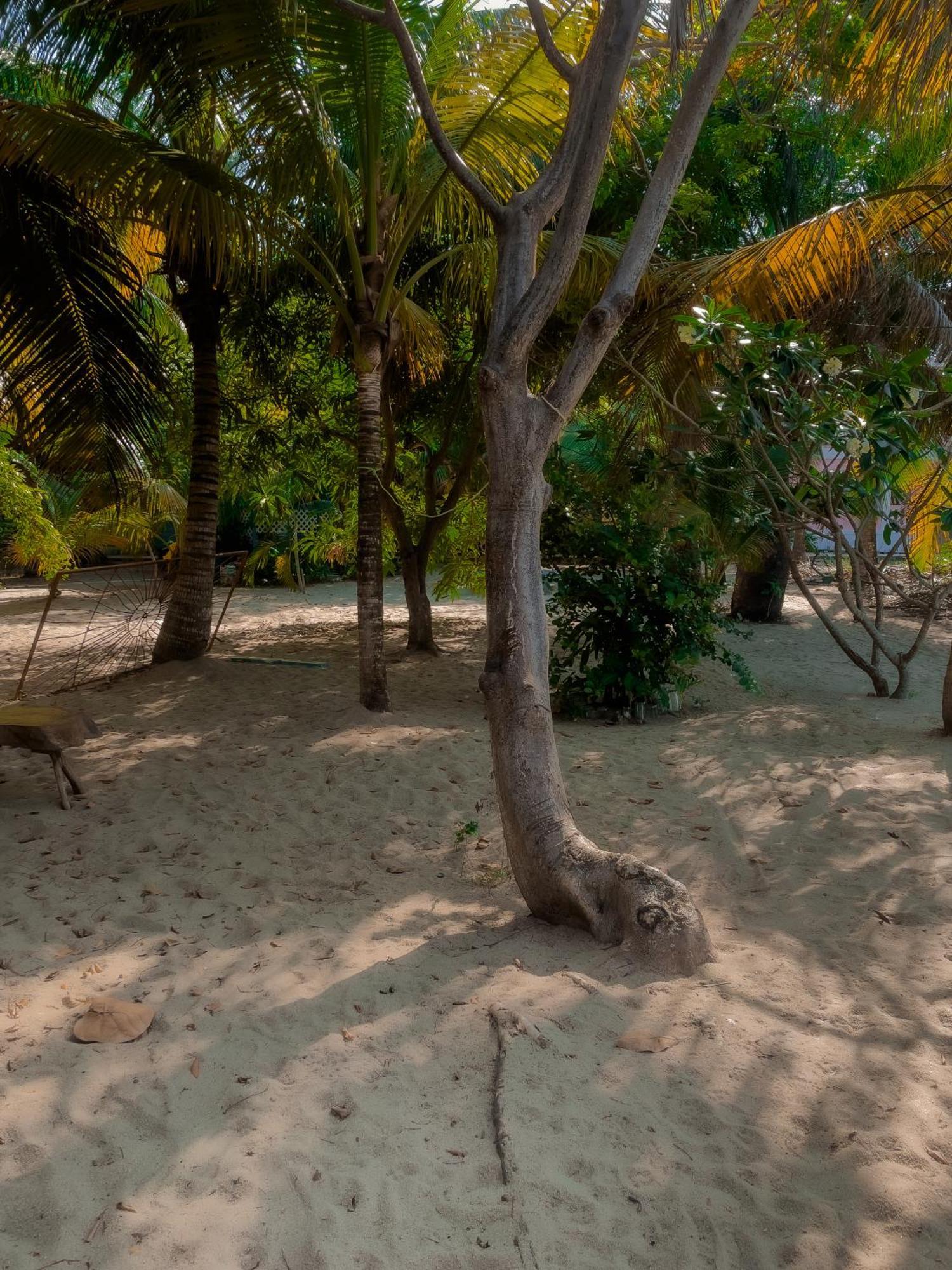 Anda Di Hows Hostel Placencia 外观 照片