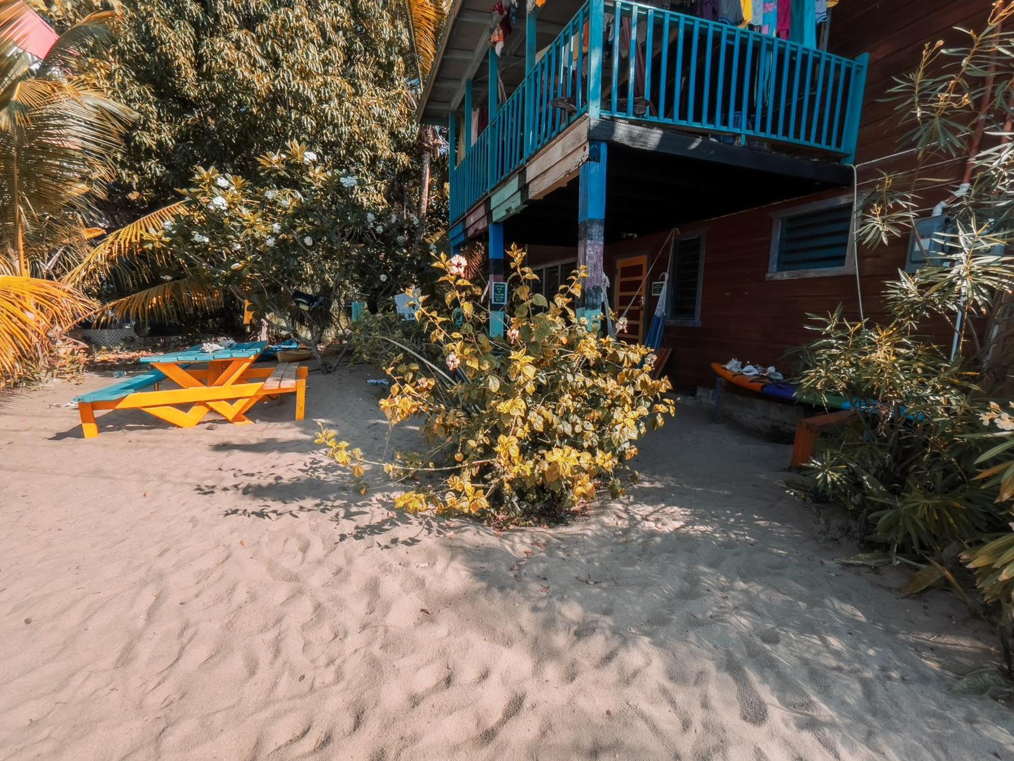 Anda Di Hows Hostel Placencia 外观 照片