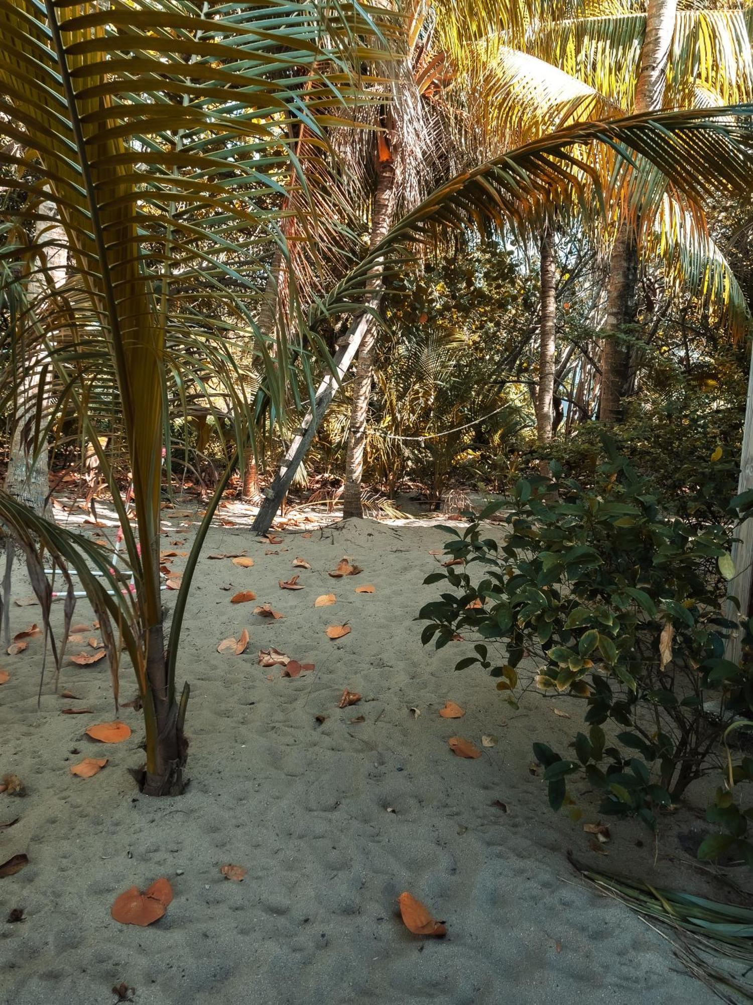 Anda Di Hows Hostel Placencia 外观 照片