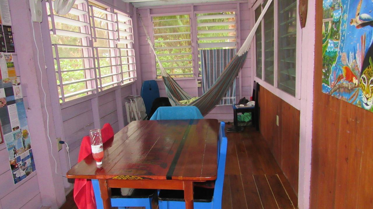 Anda Di Hows Hostel Placencia 外观 照片