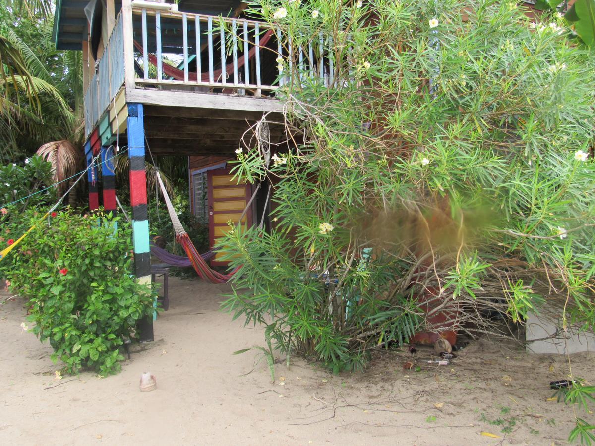 Anda Di Hows Hostel Placencia 外观 照片