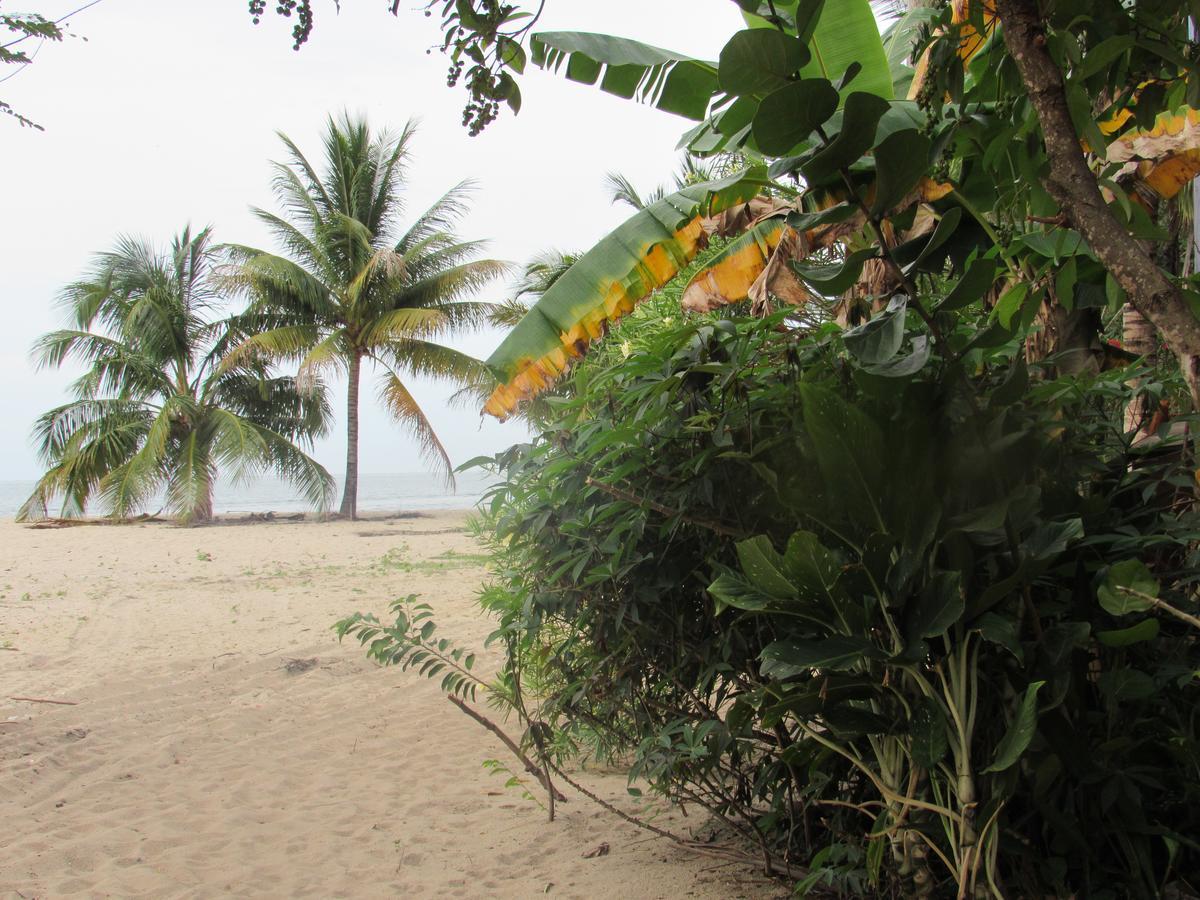 Anda Di Hows Hostel Placencia 外观 照片